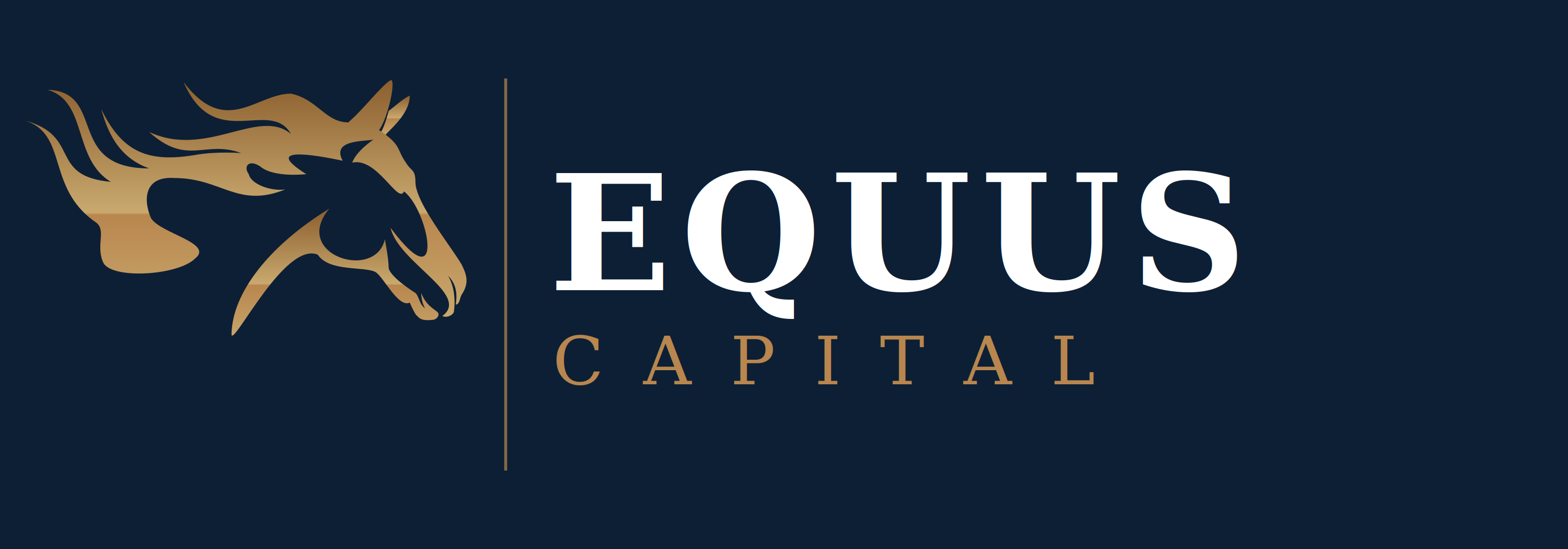 Equus Capital